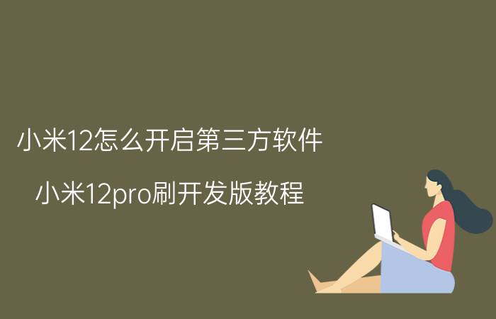 小米12怎么开启第三方软件 小米12pro刷开发版教程？